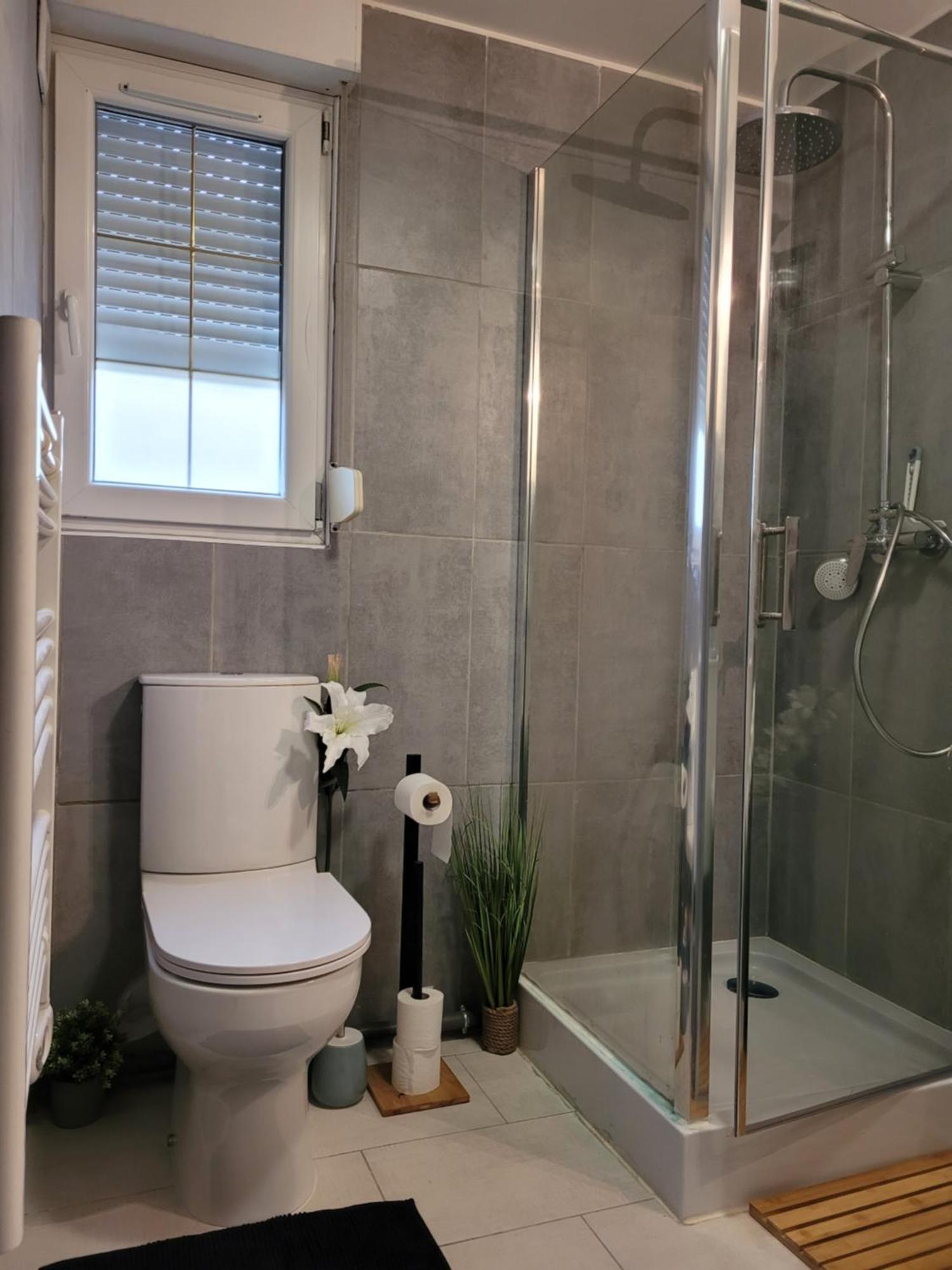 Cocooning House 204 Suite Green- Superb Studio Aeroport Paris Roissy Cdg, Parc Asterix, Chateau De Chantilly, Stade De France Survilliers Exterior photo