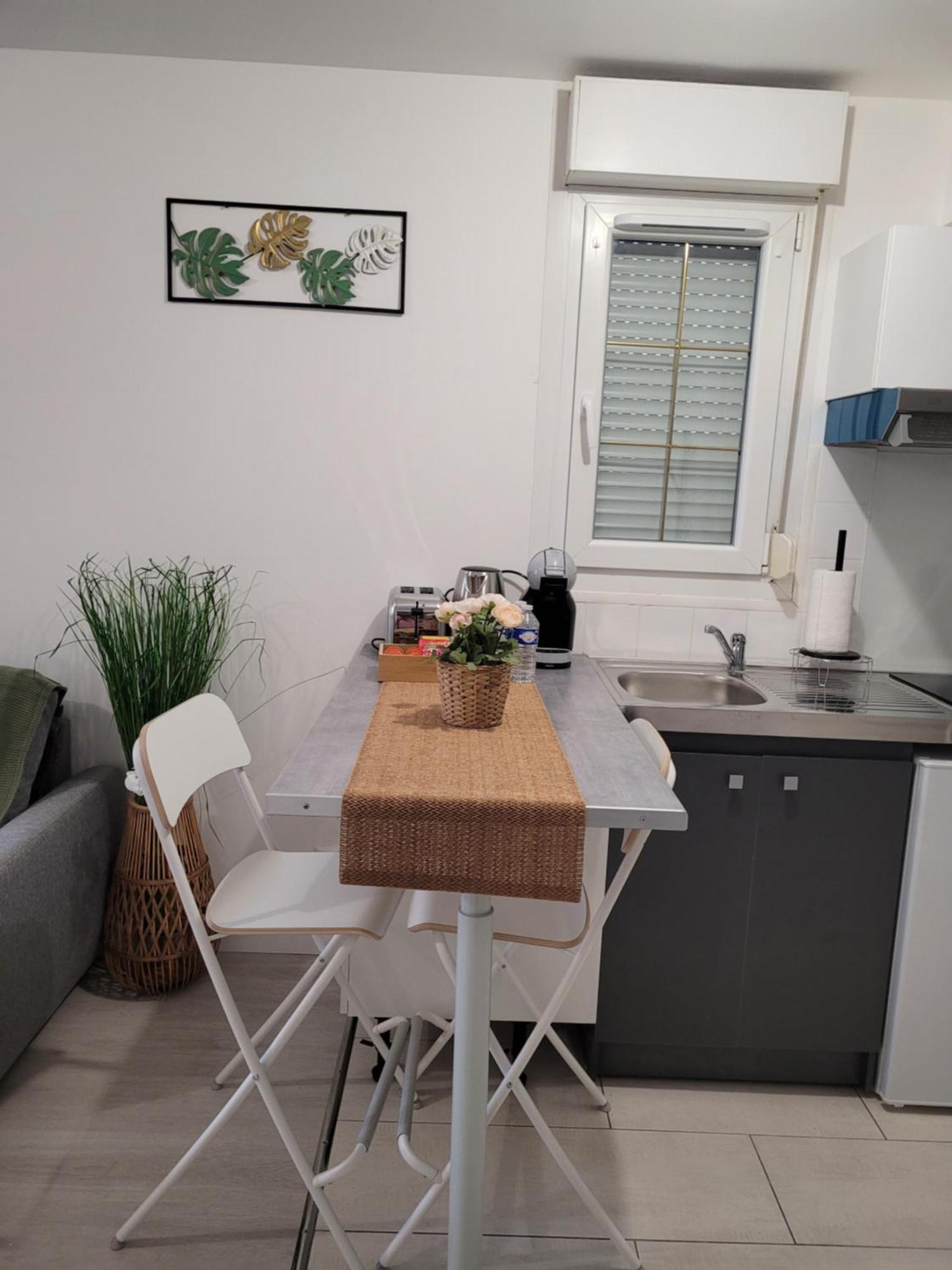 Cocooning House 204 Suite Green- Superb Studio Aeroport Paris Roissy Cdg, Parc Asterix, Chateau De Chantilly, Stade De France Survilliers Exterior photo